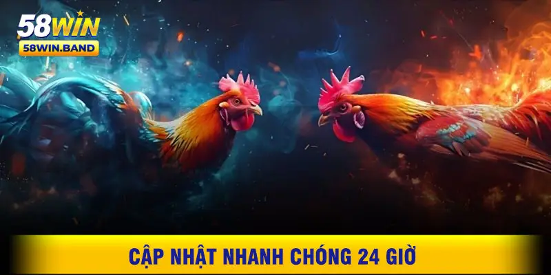 Cập Nhật Nhanh Chóng 24 Giờ